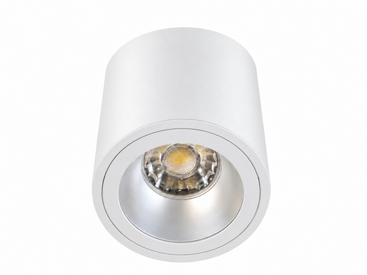 Opal Surface Mounted Ceiling Light