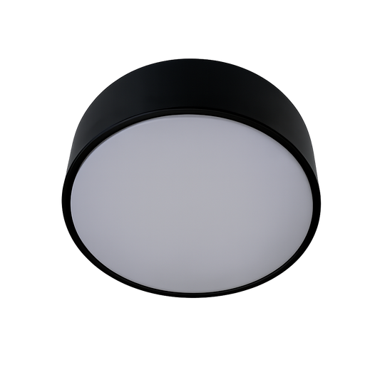 Aster Ceiling Light 16W